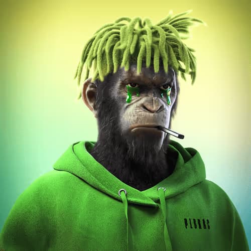 Monkey 10