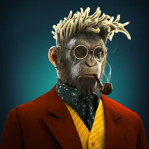 Monkey 5