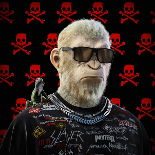 Monkey 7